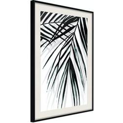 Arkiio Affisch Palm Relax [Poster] 30x45 Poster